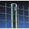 Welded Wire Mesh Fence